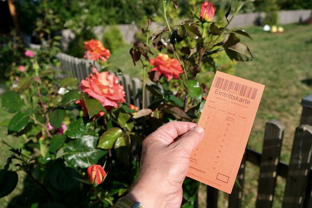 Free Miniature Golf Map photo and picture