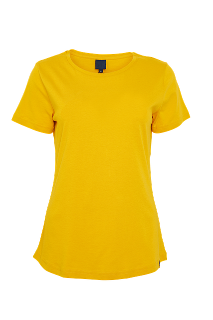 Free Womentshirt Tshirt photo and picture
