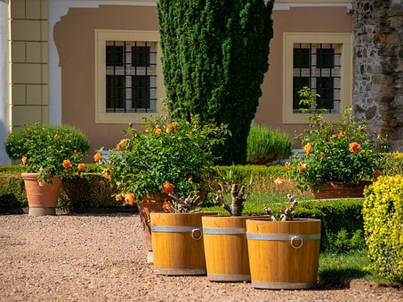 Free Still Life Gardens photo and picture