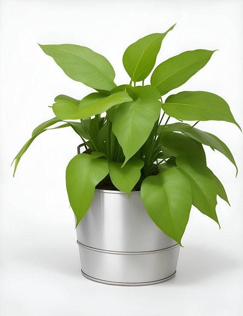 Ai产生的 植物 树叶 - Pixabay上的免费图片