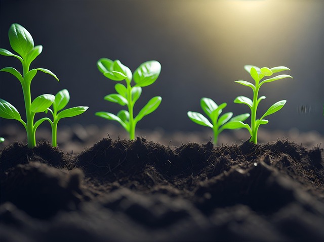 Free ai generated sprout plant illustration