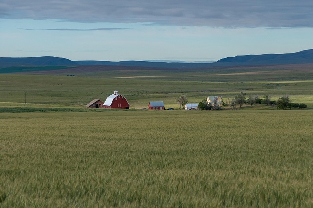 Free Farm Farming photo and picture