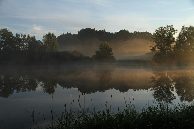 Free Morning Nature photo and picture