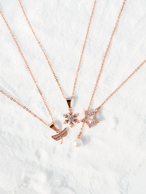 Free Jewellery Necklace photo and picture