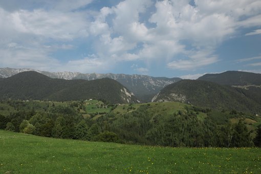 Munţi, Filld, Iarbă, Vară, Peisaj