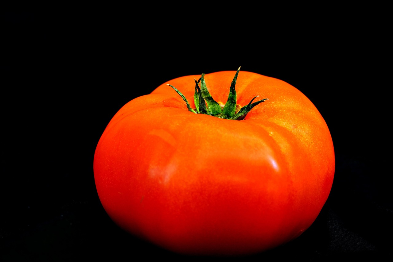 Tomato Fruit Plant Free photo on Pixabay Pixabay