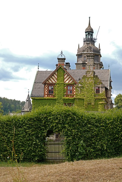 Free Gate Castle photo and picture