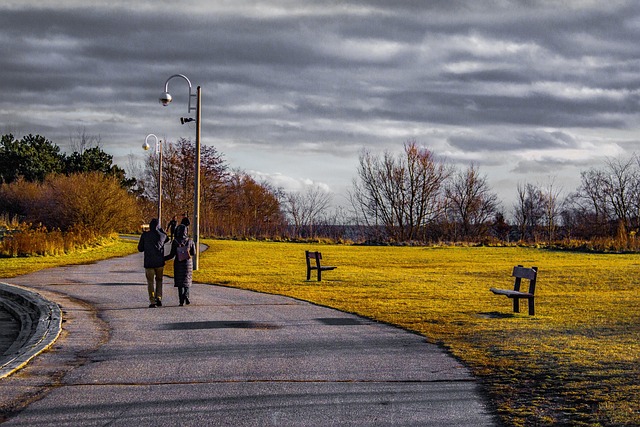 Park, Natur, Wald, Landschaft, Promenade