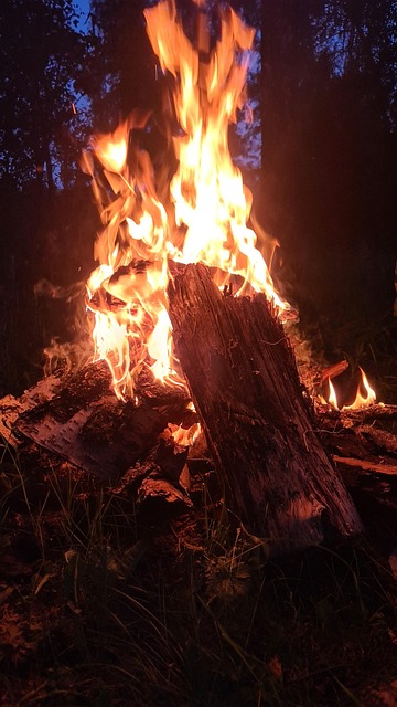 Free Fire Koster photo and picture
