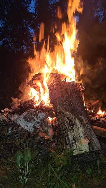 Free Flame Koster photo and picture
