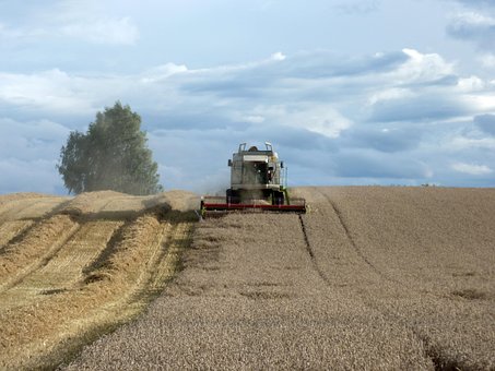 Free Grain Harvest Combine Harvester photo and picture