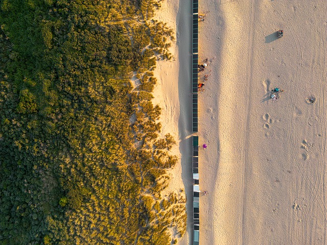 Praia, Costa, Areia, Panorama, Fundo
