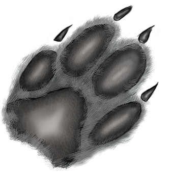 Pfote, Hund, Haustier, Tier, Pelz, Hund