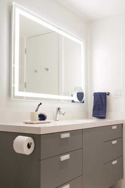Free Bathroom Designer photo and picture