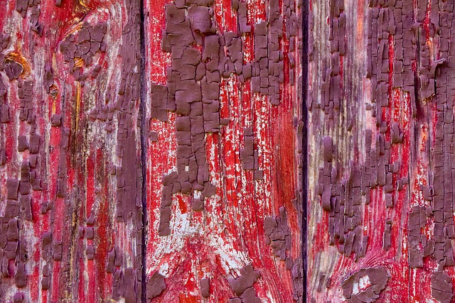 Free Background Wood photo and picture