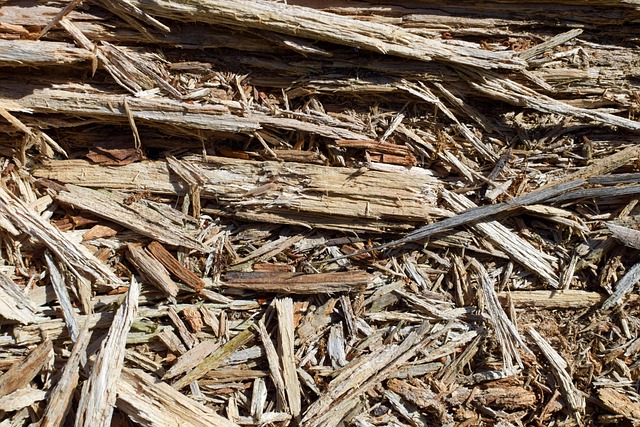 Free Wood Chips photo and picture
