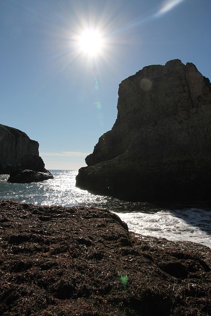 Free Monterrey North California photo and picture