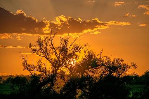 Free West Sun photo and picture