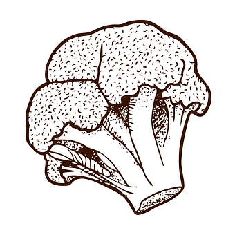 Tekening, Broccoli, Eten, Groenten
