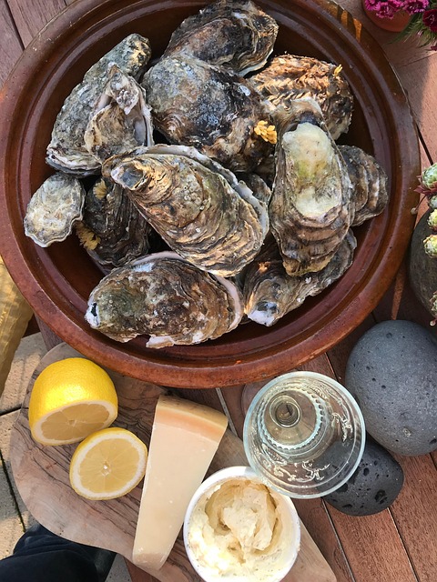 Free Oysters Shellfish photo and picture