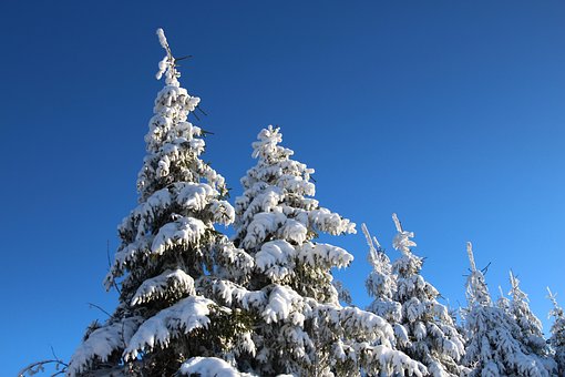 Winter, Schnee, Sauerland, Landschaft