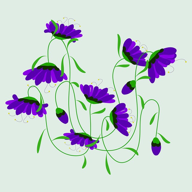 Free cornflower flowers plant illustration
