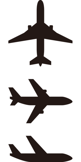 Free Airplane Silhouette vector and picture