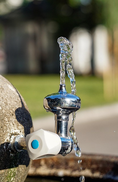 Free Water Drinking Water photo and picture