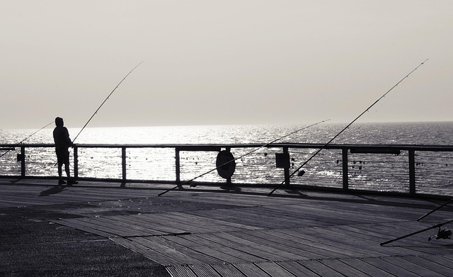 Zee, Vissen, Water, Vis, Vis Hengel