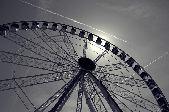 Carrousel, Amusement, Wiel, Zwart En Wit