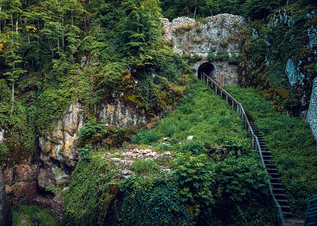 Free Stairs Castle photo and picture