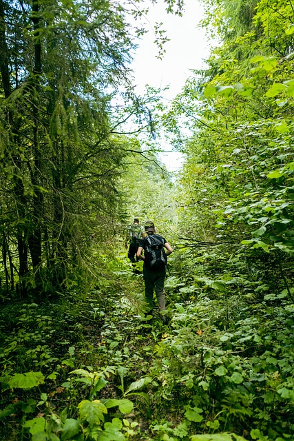 Free Outdoors Walk photo and picture