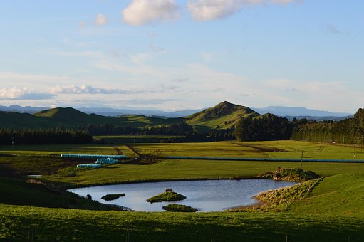 Panorama, Fazenda, Colinas, Lago, Verde
