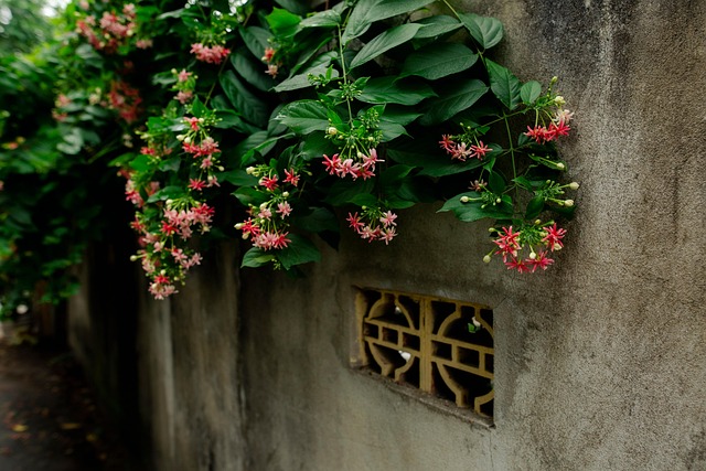 Free Plant Flower photo and picture
