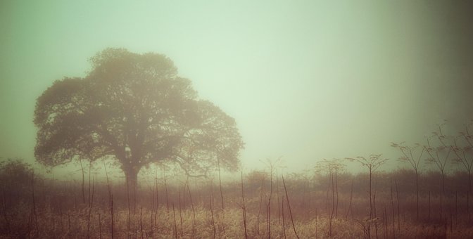 Free Fantasy Dreamy photo and picture