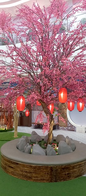 Free Sakura Flowers photo and picture