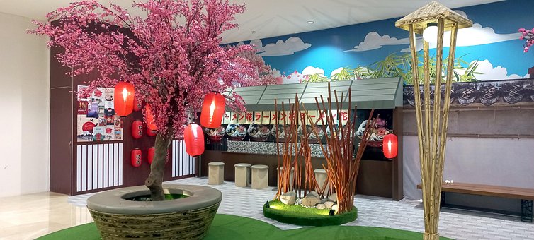 Free Sakura Flower photo and picture