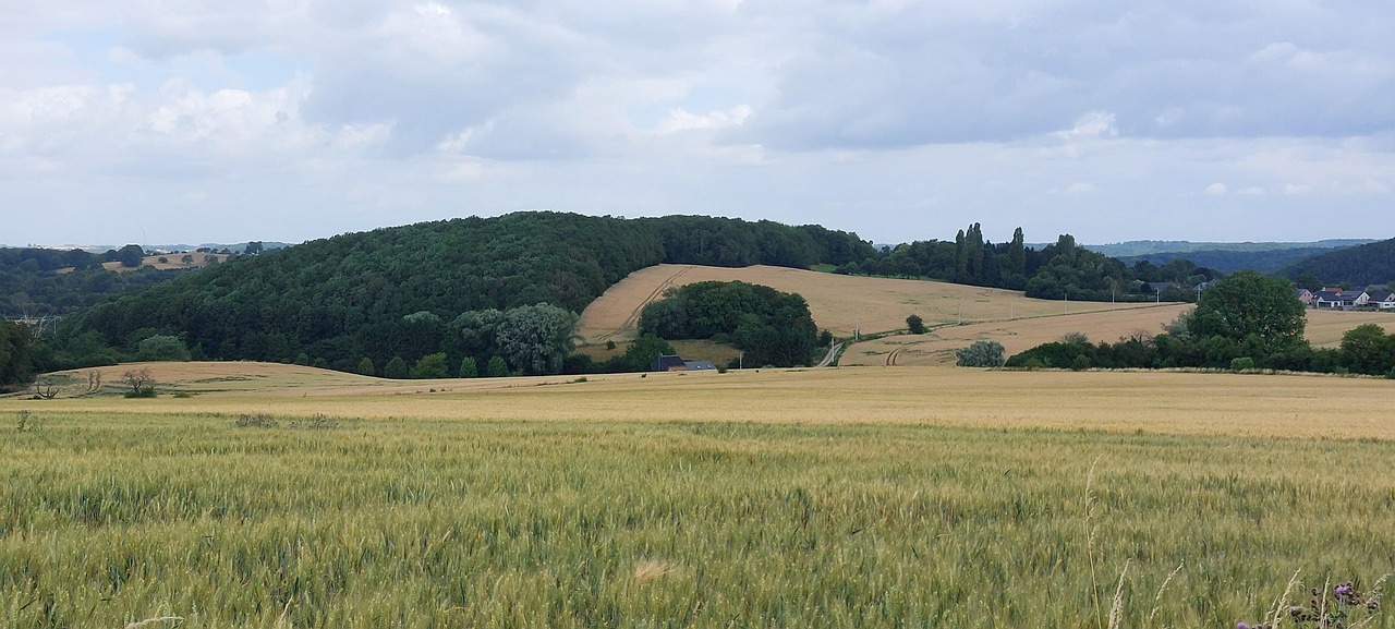 Nature Paysage Nuage - Photo gratuite sur Pixabay - Pixabay