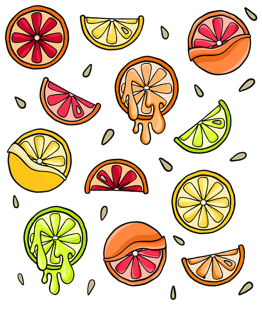 Obst, Zitrusfrüchte, Scheibe, Orange