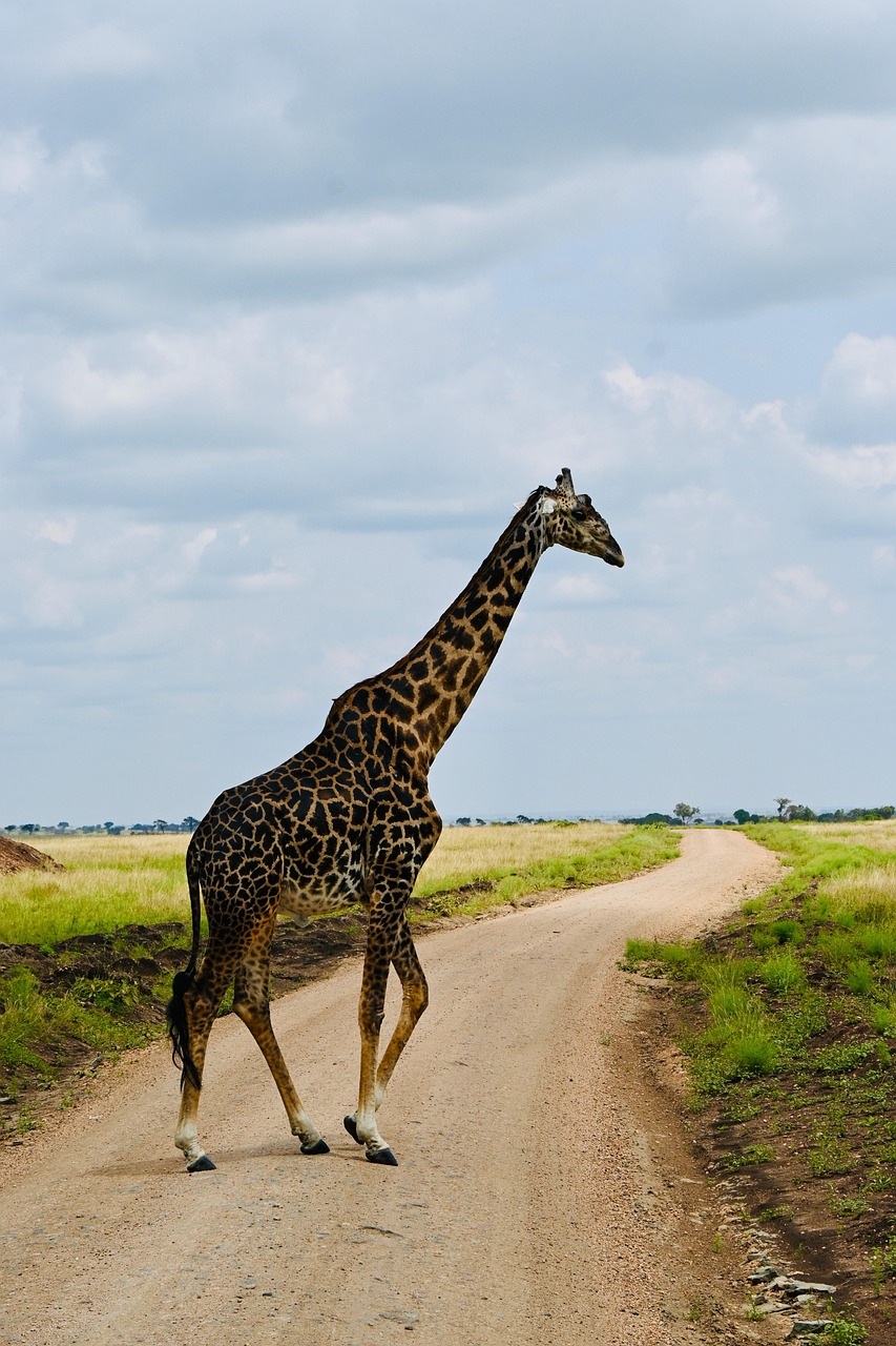 Biegefigur Giraffe Aus Holz – Beweglich, Bunt, Ca. 18,5 Cm Hoch Für Kinder & Sammler