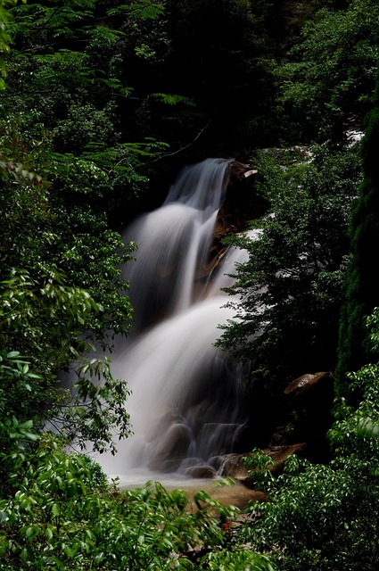 Free Waterfall Natural photo and picture