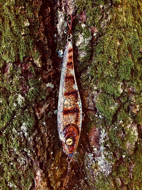 Free Hook Blink photo and picture