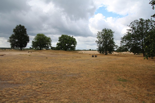 Free Drenthe Netherlands photo and picture