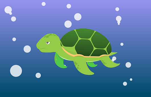 Tortuga, Animal, Oceano, Manga, Cáscara