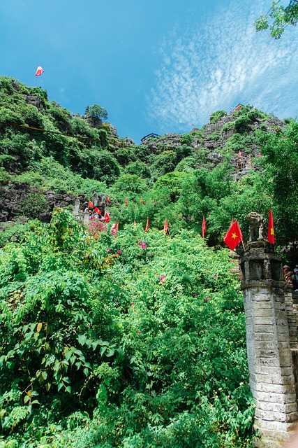 Free Flag Vietnam photo and picture