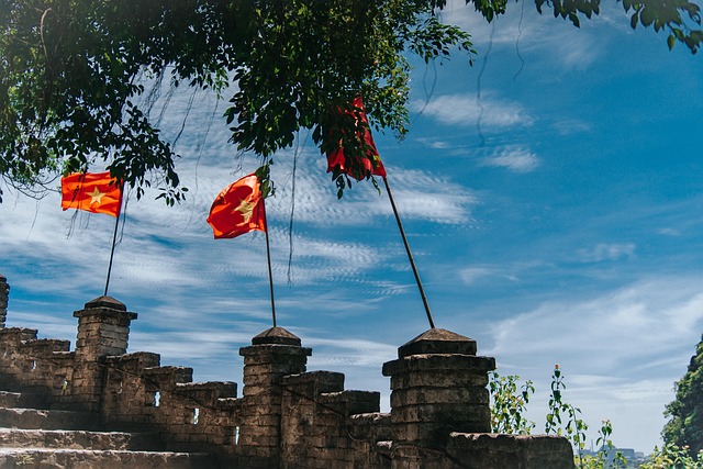 Free Flag Vietnam photo and picture