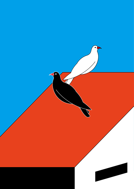 Free Pigeon House vector and picture