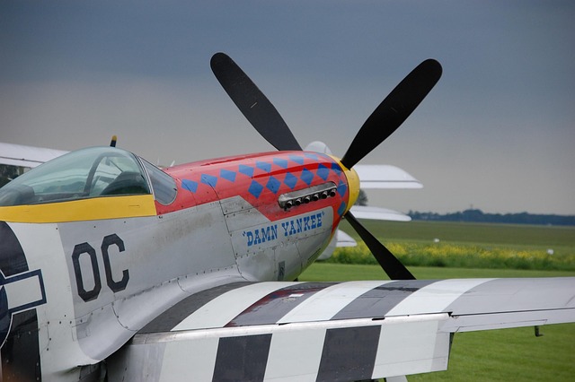P 51, Mustang, Vlak