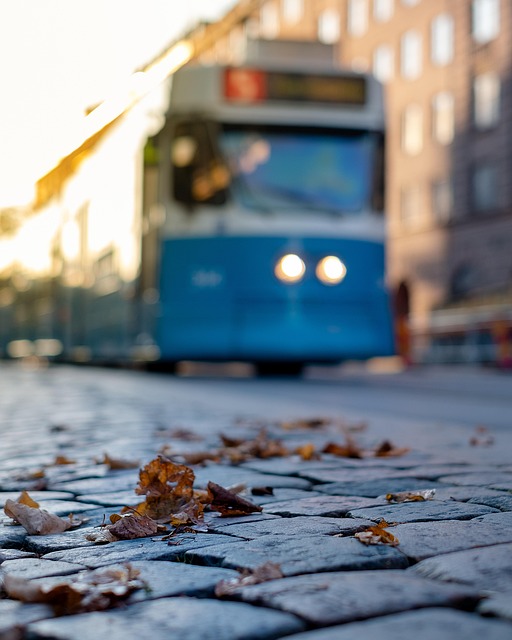 Tranvía, Gotemburgo, Suecia, Otoño, Hoja