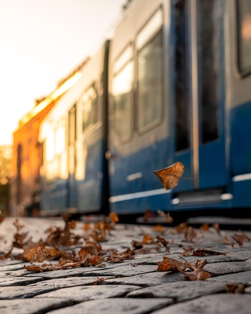 Tranvía, Gotemburgo, Suecia, Otoño, Hoja